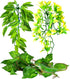 KATUMO 3 PCS Reptile Plants with Suction Cup for Lizards, Geckos, Bearded Dragons, Snake, Hermit Crab Habitat