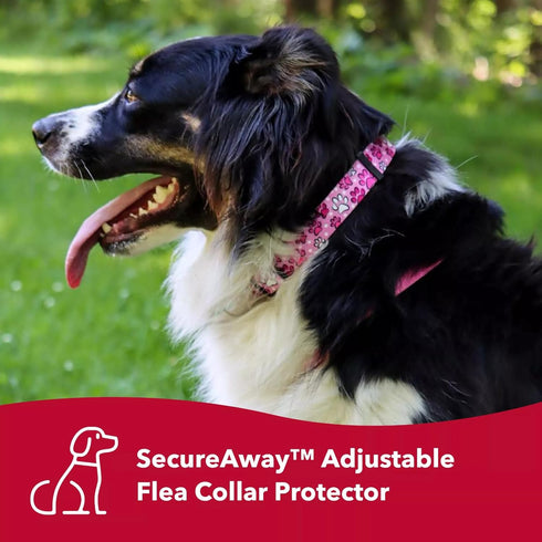 Coastal Pet SecureAway Adjustable Flea Collar Protectors - Comfortable Protective Dog Collar Accessory for Dogs - Multi