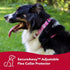 Coastal Pet SecureAway Adjustable Flea Collar Protectors - Comfortable Protective Dog Collar Accessory for Dogs - Multi