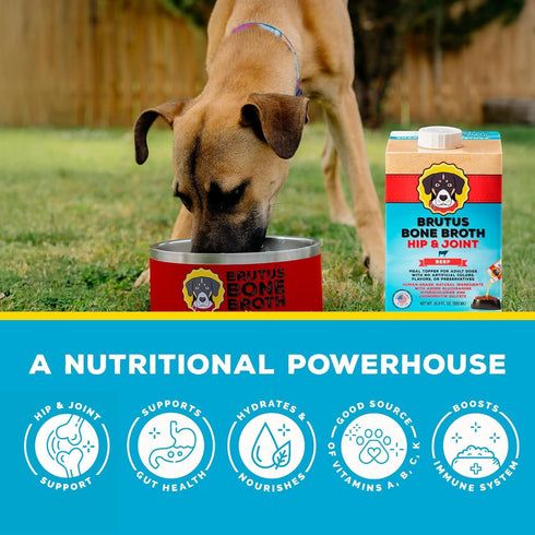 16.9oz (Pack 6) Brutus Beef Bone Broth for Dogs - All Natural Dog Bone Broth with LiquidChondroitin Glucosamine