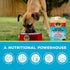 16.9oz (Pack 6) Brutus Beef Bone Broth for Dogs - All Natural Dog Bone Broth with LiquidChondroitin Glucosamine