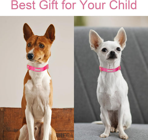 Babole Nylon Dog Collars - Red for Small Puppy Dog, 13 Colors, Adjustable Soft Comfortable Collars with Safety Metal