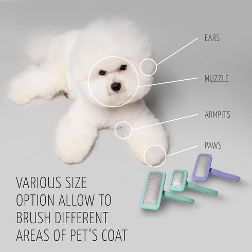 TAURO PRO LINE Slicker Brush Rectangular L - Premium Brush for Dogs and Cats with Soft, Flexible Cushion Design (Purple)