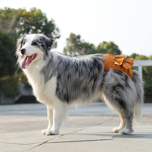 3 Pack, Reusable Dog Diapers, Washable, Highly Absorbent, Flexible, Leak-Proof, for Dog Period, Heat Incontinence