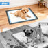 24x24 ALOOF Silicone Dog Pee Pad Holder in, Puppy Potty Training Tray with Magnetic Snaps & Raised Edges, Non-Slip