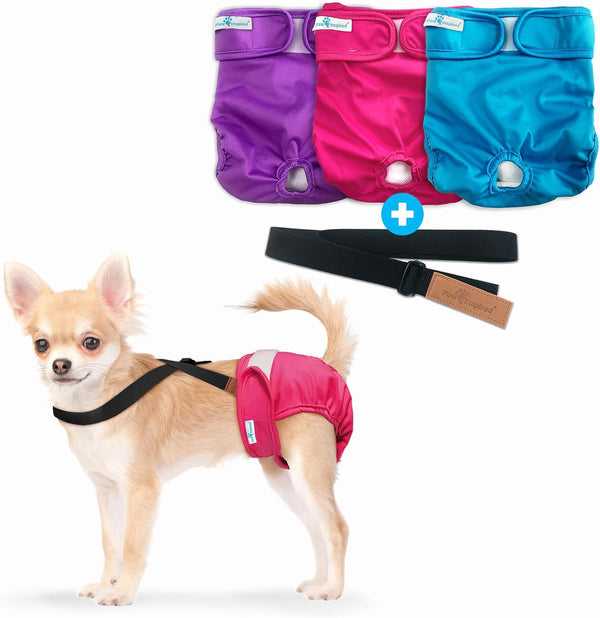 Paw Inspired Reusable Washable Dog Diapers (Pack of 3) in Assorted Colors