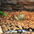 Reptile Heating Pad with Temperature Adjustment, 110V Non-Adhesive Heat Mat for Reptiles, 7W Removable Under Tank