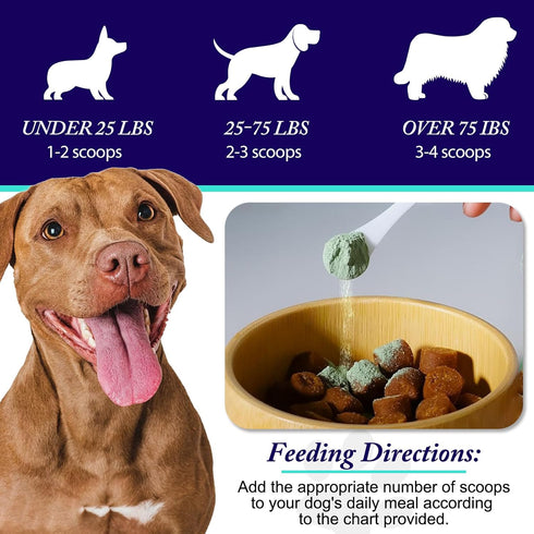 Peesnb Dog Teeth Cleaning Powder - Dog Dental Powder - Dog Breath Freshener - Targets Tartar & Reduces Plaque & Bad