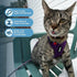 Voyager Step-in Lock Adjustable Cat Harness with Leash Combo Set, Neoprene Handle 5ft, Purple, XXS