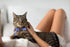 2Pcs Breakaway Cat Collars for Boy Cats, Adjustable Moons Collars with Bell & Pendant Glow in The Dark (Black+Blue)