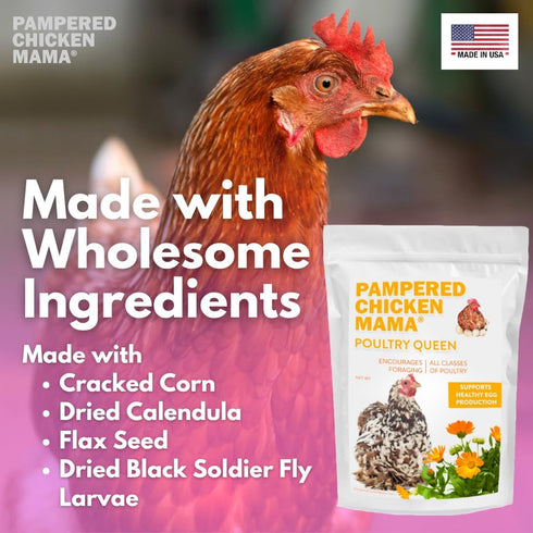 (10 Pampered Chicken Mama Mealworm, Black Soldier Fly Larvae, Corn, Flax, & Herb Treat Pounds) for Backyard Chickens