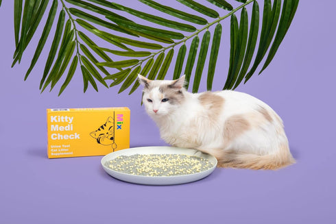 Home,100% 3 Pack Hematuria)-210g/7.4oz 100% Kitty-Medi-Check Cat Urine Health Test Kit, Easy Monitoring at Eco-Friendly