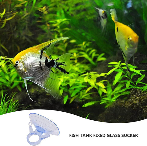 Senmubery 12 Pcs Stand,Fish Tank Vacuum Suction Cups with for Plants on Glass Windshield Tile,Etc