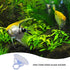 Senmubery 12 Pcs Stand,Fish Tank Vacuum Suction Cups with for Plants on Glass Windshield Tile,Etc