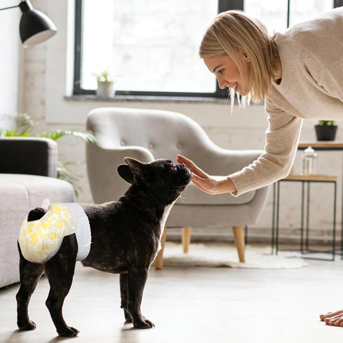 360Stretchy Count, 40.0) Pet Soft Disposable Dog Diapers Female, Pull Up Doggie Diapers for Female Dogs, Waist Puppy