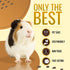 Riverside Essentials 32oz Guinea Pig Cage Cleaner & Deodorizer Spray - Safe & Effective Odor Eliminator for Small