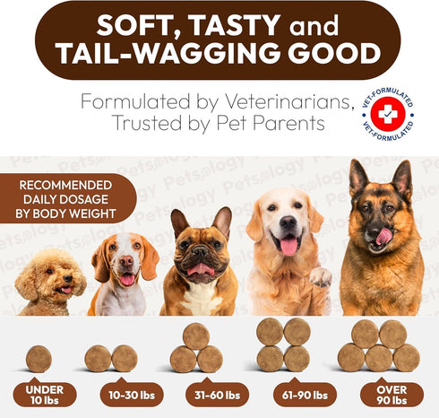 170 Immune Turkey Tail Mushroom for Dogs - Chews - Lions Mane - Shiitake - Reishi - Buddy Support Guard - Mushroom
