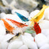 Hygger CO2 20+ Mixed Neocaridina Shrimp Assortment - Cherry, Fire Red, Blue Velvet &