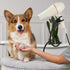 DYNWAVE Dog Hair Dryer Stand, Adjustable Grooming Table Hair Dryer Holder with Clamp, 360 Degrees Rotatable
