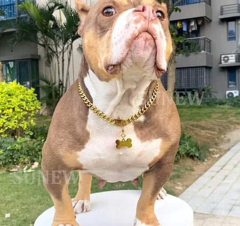 Walking Collar with Dog Tag Design, Secure Buckle Cuban Link Chain Heavy Duty Chew Proof for Medium Large Dogs