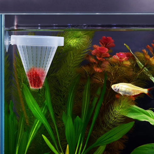 WEAVERBIRD 4PCS Aquarium Nematode Feeder, Live Blood Worm Plastic Cone Cup Shape Basket Feeder for Fish