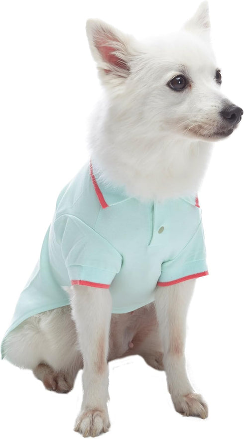 Blueberry Pet Back to School 2-Pack Dog Polo Shirts in Mint Blue + Terra Cotta Red, Back Length 10 inch