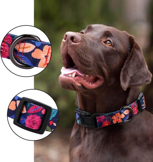 Rhea Rose Dog Collar - Special Design Cute Black Floral Pattern Collar for Large Dogs (Black, L)