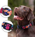 Rhea Rose Dog Collar - Special Design Cute Black Floral Pattern Collar for Large Dogs (Black, L)