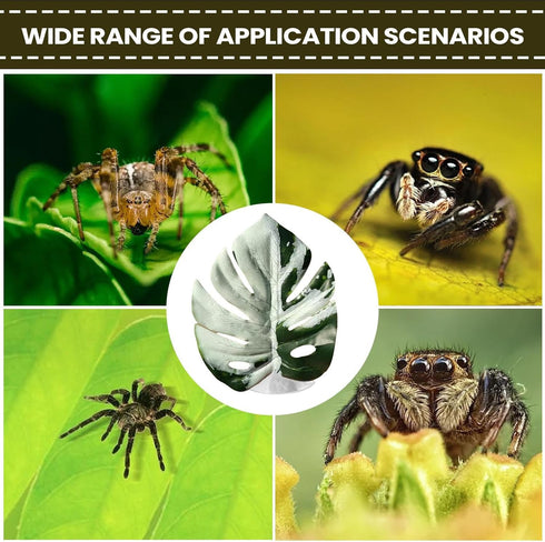 Generic Reptile Jumping Spider Toy, Realistic Leaf Shape Hermit Crab Accessory, Spider House Decor for Terrarium