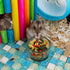 2 Pcs Hamster Food and Water Bowl, Glass Anti-Turning Transparent Dish for Small Pets