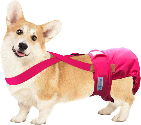Paw Inspired Dog Diaper Suspenders, Adjustable Velcro Fasteners for Disposable & Washable Diapers, Fits M/L Pets (Pink)