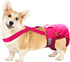 Paw Inspired Dog Diaper Suspenders with Velcro Fasteners, Adjustable for Disposable & Washable Diapers, Fits Small to