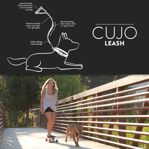 EzyDog Cujo Shock Absorbing Bungee Dog Leash, Reflective Trim, Padded Pull Handle, 25", Black