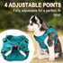 Dog Harness, Step in Dog Vest Harness, Reflective Adjustable No Pull Harness for Small Medium Dogs and Cats
