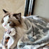 1 Pack 3 Puppy Blankets, Super Soft Warm Sleep Mat with Grey Star Cute Print, Fluffy Fleece Pet Blanket (Small, 23"x15")