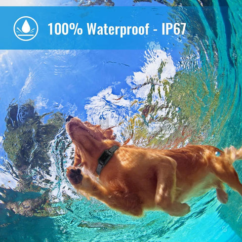 Petrainer Training Collar for Dogs - Waterproof Rechargeable E-Collar with 3 Safe Modes for Small, Medium, Large Dogs