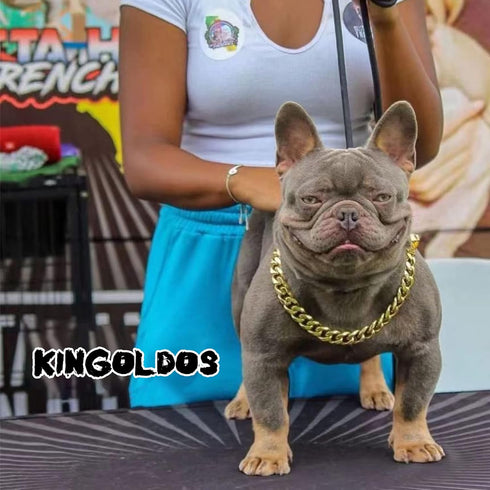 Gold Dog Chain Collars 18K Metal Cuban Link with Secure Buckle for Small Medium Large Dogs