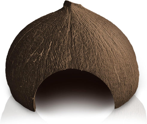 SunGrow Coconut Aquarium Shrimp Cave, Small Fish Tank Aquarium Decorations Accessories, Comfortable Shelter and Breeding Area for Crustaceans, Fish Hideout Aquarium Décor for Spawning