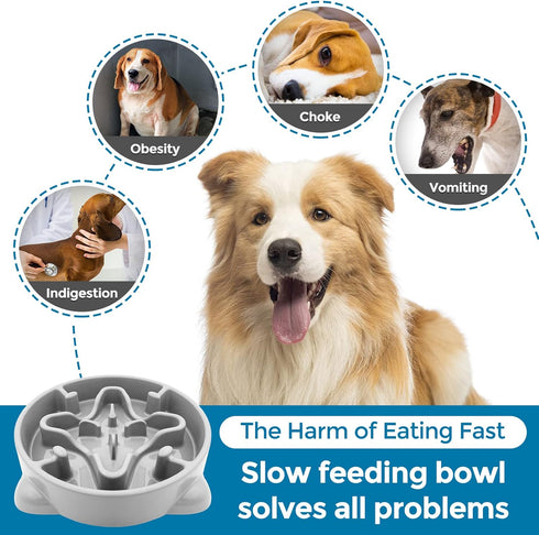 Slow Feeder Dog Bowls Durable Puzzle Feeder, Non Slip Dog Food Dish for Small Medium Dogs, 3 Cups, BPA Free, Grey