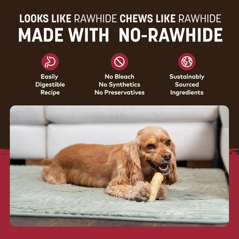6 Count Earth Animal No Hide Chews - Long Lasting Rawhide Free Small Dog Chews Rolls, Beef