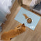 Absorbent Dog Food Mat, Quick Dry Dog Water Dispenser Mat, Easy Clean Pet Accessories Supplies