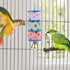 Bird Calcium Teeth Grinding Chew Treats Toy for Parrot, Parakeet, Cockatiel, Conure, Gerbil, Rat, Mouse, Guinea Pig,