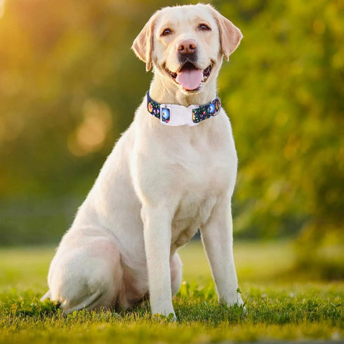 Adjustable Dog Collar for Small Medium Large Dogs, Soft Puppy Cats Collars with Multicolor Patterns (XS, Black)