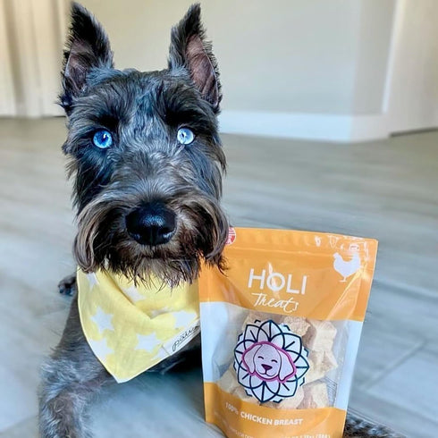 HOLI Freeze Dried Chicken Dog Treats, 100% All Natural Chicken Breast, Grain Free, Gluten Free, Soy Free (1.75 Ounce)
