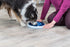 TRIXIE Dog Activity Twister, 28 cm Interactive Puzzle Toy