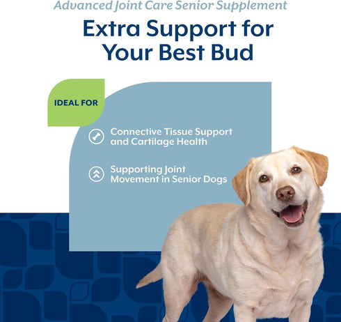 60 NaturVet Senior Advanced Joint Health Dog Supplement Includes Glucosamine, MSM, Chondroitin, Collagen Helps Supports