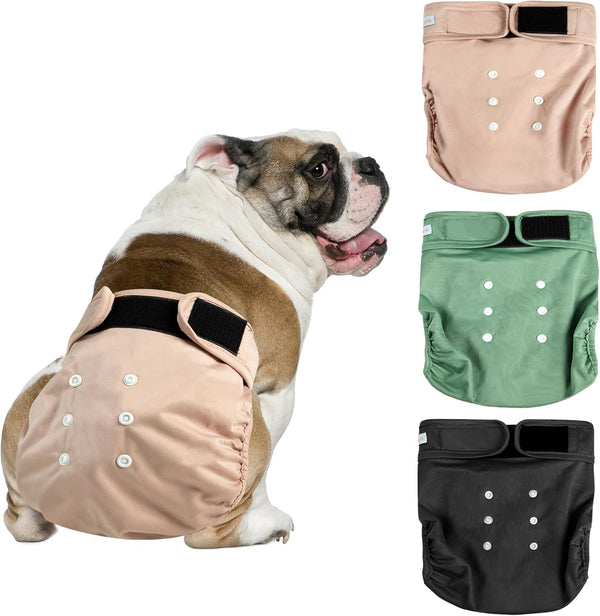 Langsprit Frenchie Female Dog Diapers No Tail Hole,Reusable Puppy French Bulldog Diapers