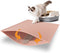 Pieviev Cat Litter Mat Double Layer Waterproof Urine Proof Trapping Mat 1