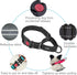 haapaw Martingale Dog Collar 2 Packs with Quick Release Buckle, Reflective Training Collars for Small Medium Large Dogs