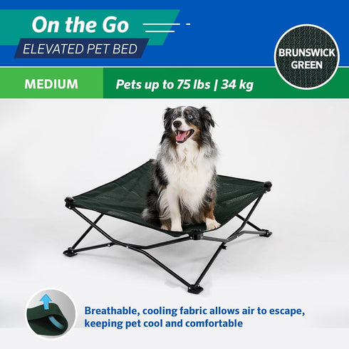 Coolaroo On The Go Cooling Elevated Dog Bed, Portable for Travel & Camping, Collapsible Medium, Brunswick Green